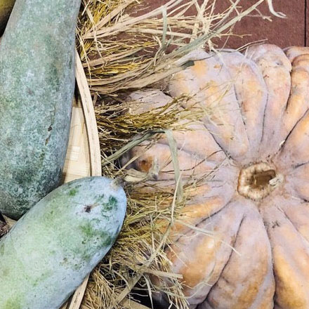 綜合體作品案例展示