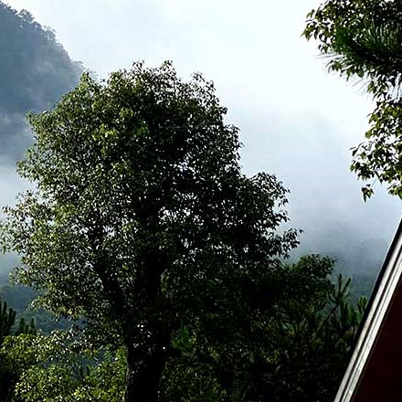 綜合體作品案例展示