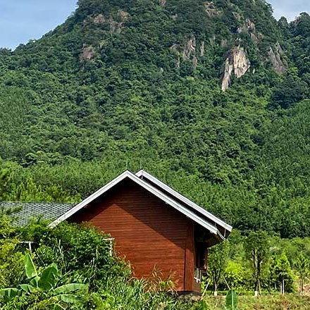 陰囊疥瘡圖片-陰囊疥瘡標(biāo)識(shí)設(shè)計(jì)圖片