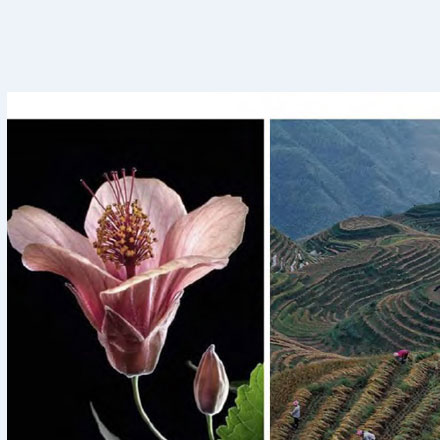 購(gòu)物中心作品案例展示