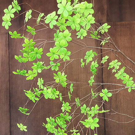 中國能效標(biāo)識怎么看設(shè)計:能源效率的認證標(biāo)志