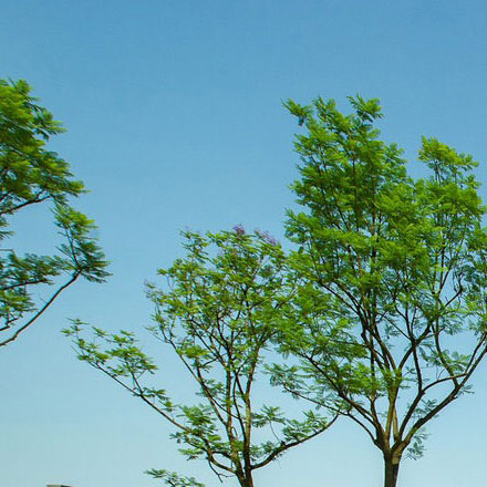 成都地產(chǎn)導(dǎo)視設(shè)計中的用戶體驗(yàn)與人性化服務(wù)策略