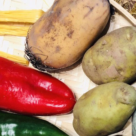 上海熱帶溫泉度假村施工安全與標(biāo)識(shí)可視性優(yōu)化探討:打造安心放松的休閑環(huán)境